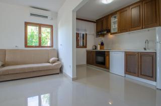 Panoramic Apartments Anić - Blato - 4