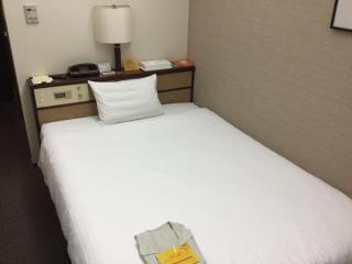 Ryukyu Sun Royal Hotel - Naha - 5