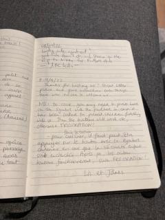 Nid douillet - 4