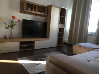Central Home - Piatra Neamţ - 8
