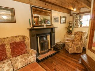 Penfeidr Newydd - Newport - 3
