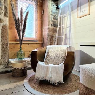 Appart COSY 2 ch Caluire et Cuire Lyon - Caluire-et-Cuire - 0