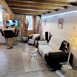 Appart COSY 2 ch Caluire et Cuire Lyon - Caluire-et-Cuire - 6