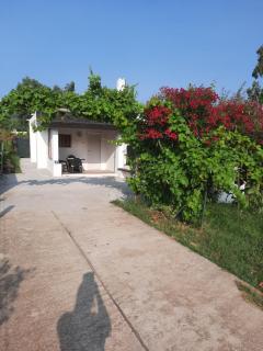 Appartamento esinai 2 - Siniscola - 9