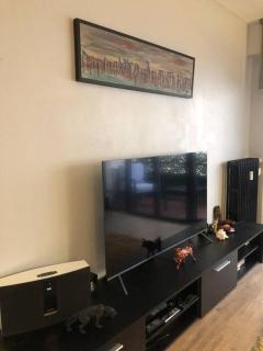 Trendy apartment with 2bedrooms,2 bathrooms,500 m from the centre,free private secure parking - Cannes - 3