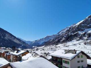 Lucky Fox - Leukerbad - 2