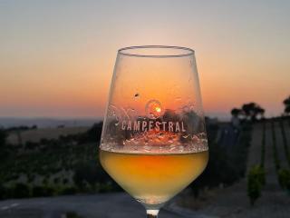 Hotel Bodegas Campestral - 1