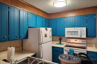 Ski View Resort #208 - 2