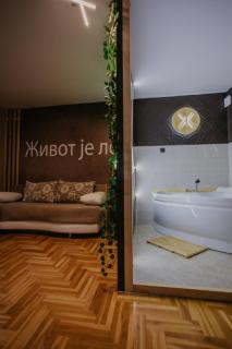 SPA apartments Kraljevo - Kraljevo - 6