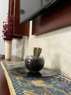 Cozy Nest Ledi - Tirana - 4