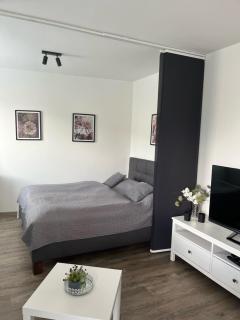 Wolkerovka Apartment 1 - Olomouc - 7