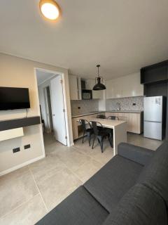 Epicentro Suites Apart Hotel - Valdivia - Valdivia - 1