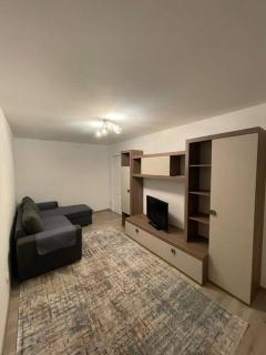 Apartament regim hotelier - Caransebeş - 8
