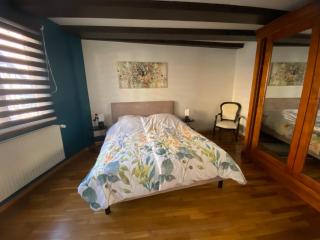 Appartement spacieux - cœur historique de la ville - Barr - 7