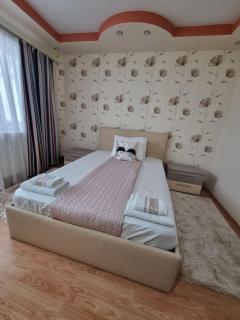 Emily Residence - Curtea de Argeş - 2