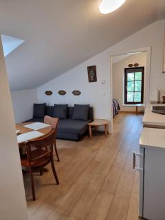 Villa Musik - Historical apartments in Baden - Baden - 8
