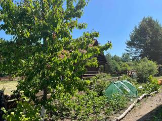 Zielony Zakątek - 6