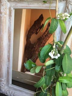 villa entre st rémy de provence et avignon - 6