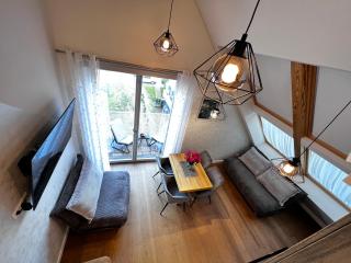 Windflower apartment - Juodkrantė - 2