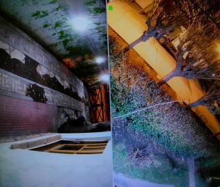 Patagonia Andina - 4