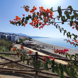 Villa Delicia - Torrox - 5