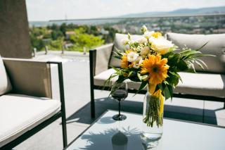 Evo Residence Panoramic - Cluj-Napoca - 2