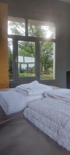 CASA DE LA LAGUNA - 7