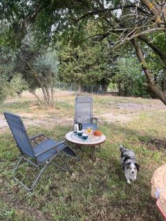 Gîtes Violettes et Amandier - 6