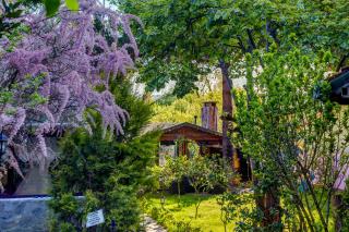 Park Mandalin Hotel - Adult only - Ağva - 2