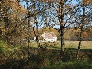 Maison solognote calme et boisée, proche châteaux Loire, golf, vélos, ping-pong - FR-1-590-34 - Jouy-le-Potier - 7