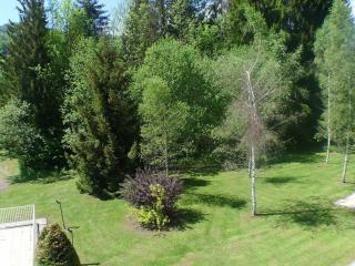 Appartement cosy avec piscine, balcon et parking - FR-1-629-124 - Samoëns - 1