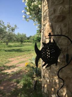 Gite des amis Domaine de Mas Caron - Caromb - 9