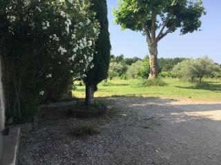 Gite des amis Domaine de Mas Caron - Caromb - 7