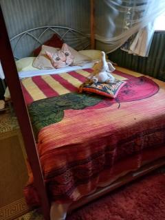 Sasana Motel and Guest House - Bungoma - 5