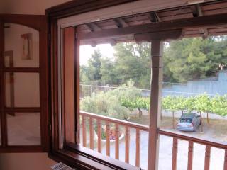 House Panorama Sea View - Neos Marmaras - 6