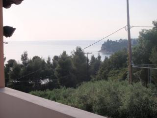 House Panorama Sea View - Neos Marmaras - 2