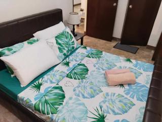 BIG 1 Bedroom Condo Beside De la Salle Taft - 9