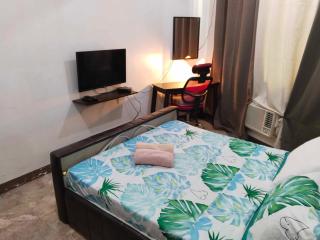 BIG 1 Bedroom Condo Beside De la Salle Taft - 8