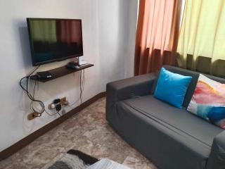 BIG 1 Bedroom Condo Beside De la Salle Taft - 2