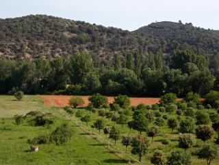 Studio Appart Verdon - Allemagne-en-Provence - 7