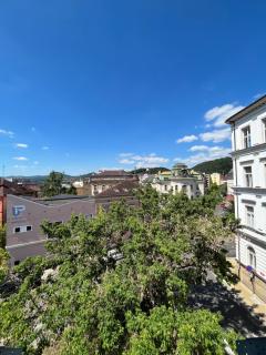 Apartman Theresa - Děčín - 9