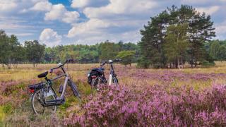 Huttopia De Veluwe - Kootwijk - 6