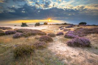 Huttopia De Veluwe - Kootwijk - 5