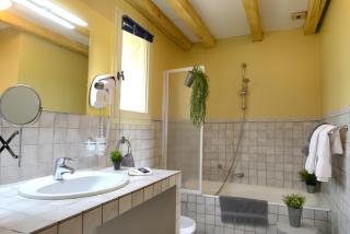 Hôtel Villa Glanum et Spa - Saint-Rémy-de-Provence - 3