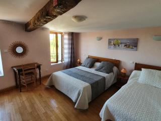 Grande maison de campagne avec cheminée, jardin et Wifi - FR-1-496-273 - Saint-Paul-de-Vézelin - 3