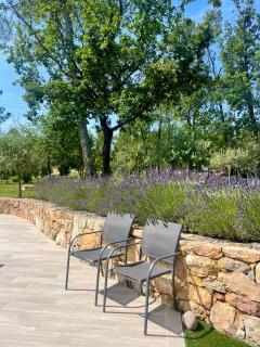 Superbe Villa Seillans LA GRANDE BASTIDE avec piscine, jardin, climatisation et salle de sport - Seillans - 3