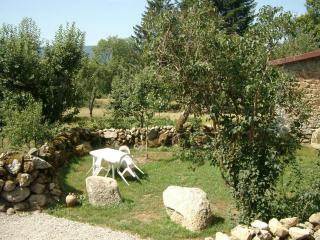 Gîte Rustique avec Terrasse, Jardin Privatif et Visite de Ferme à Vêtre-sur-Anzon - FR-1-496-290 - - 9