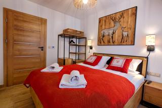 GórSKI Przystanek Apartament Koziniec - Zakopane - 9
