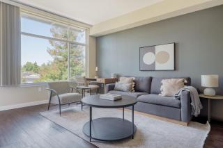 Mountain View 1br w gym spa nr groceries SFO-1441 - 0