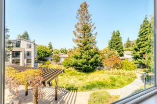 Mountain View 1br w gym spa nr groceries SFO-1441 - Mountain View - 5